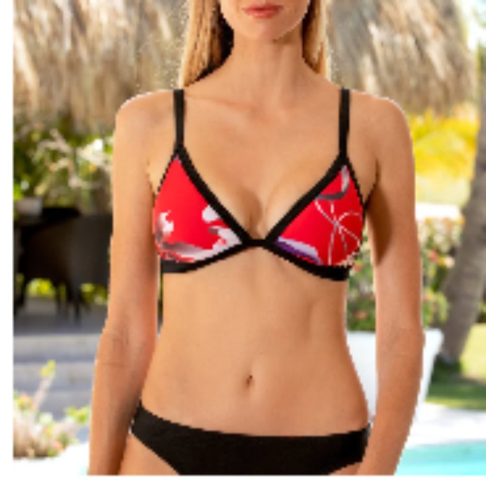 NWT Chinoiserie Triangle Bikini Top